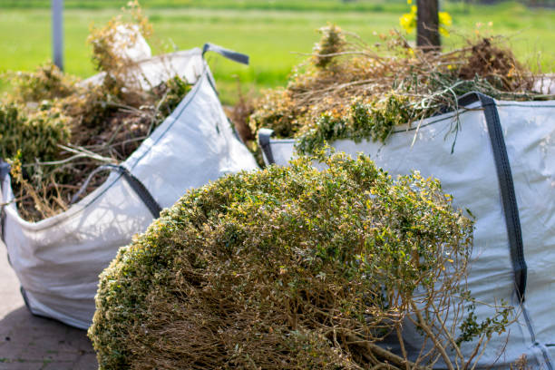 Best Residential Junk Removal  in Elida, OH
